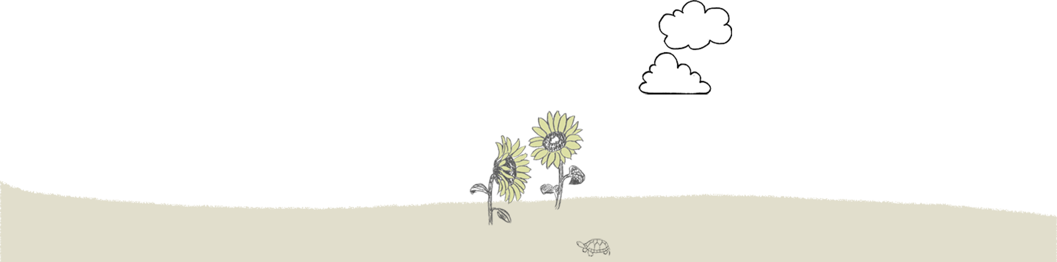 雲とひまわりとカメ